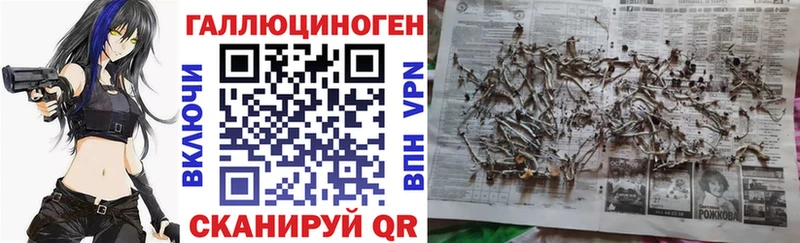 площадка состав Алушта Галлюциногенные грибы Magic Shrooms